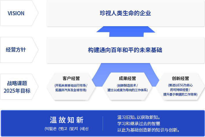 VISION, 经营方针, 战略课题 简介