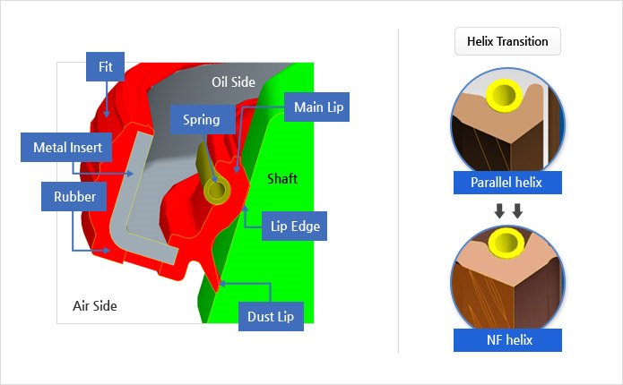 Oil Seal Structure