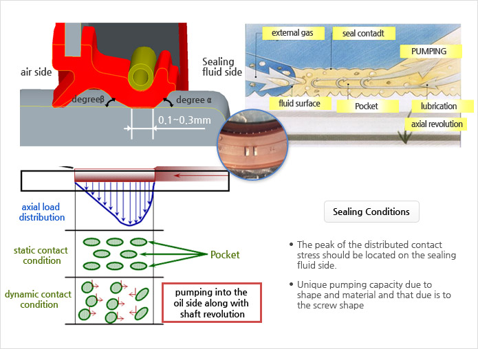 Sealing Theory of Rotating Axis Seal