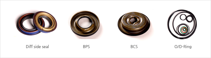 Diff side seal, BPS, BCS, O/D-Ring