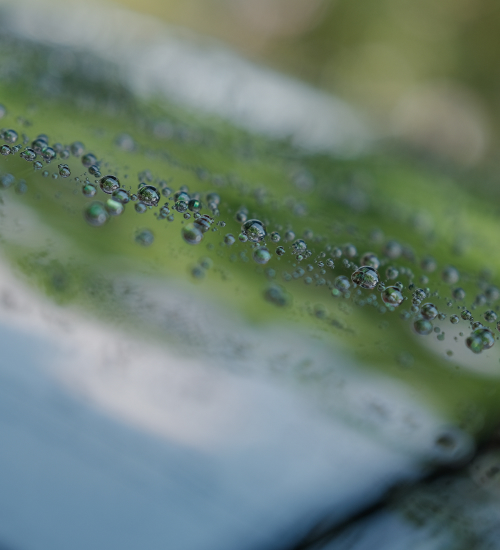 PyungHwa America History Image